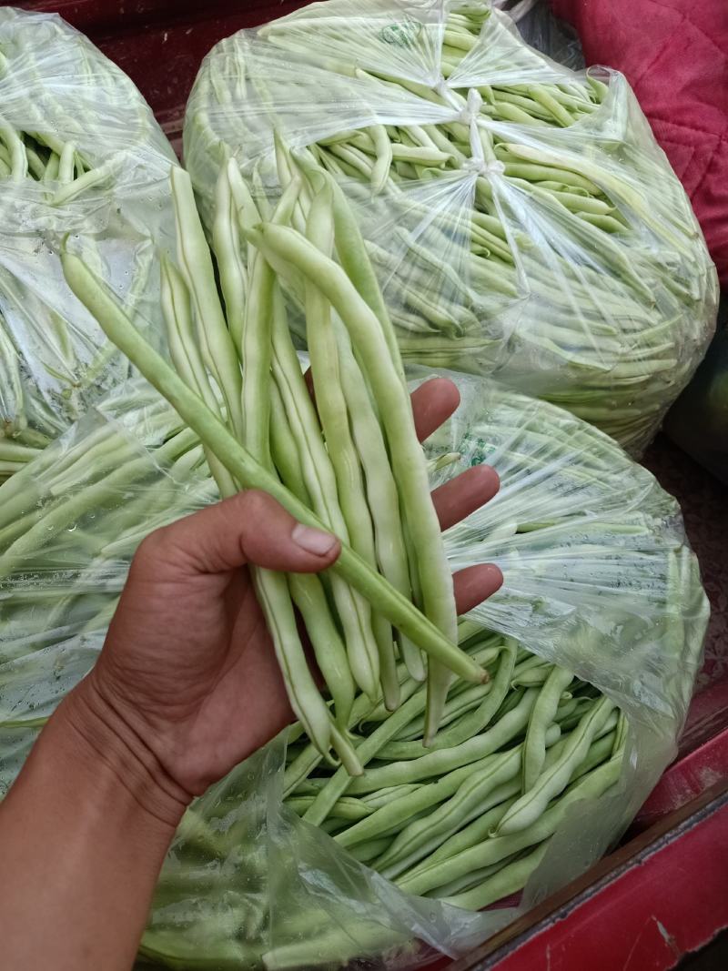 精品豆角