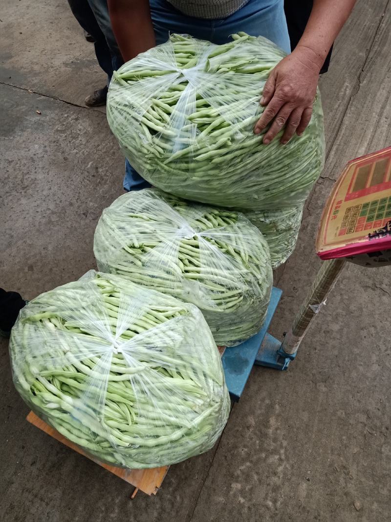 精品豆角