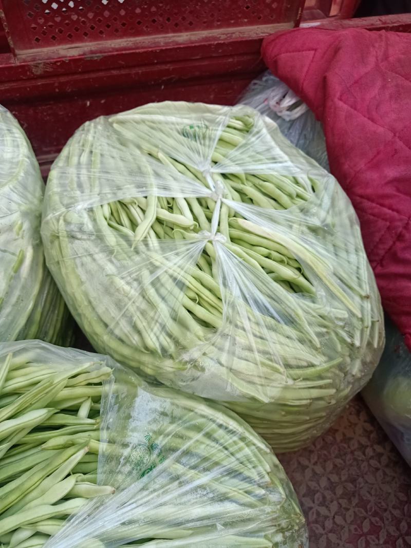 精品豆角