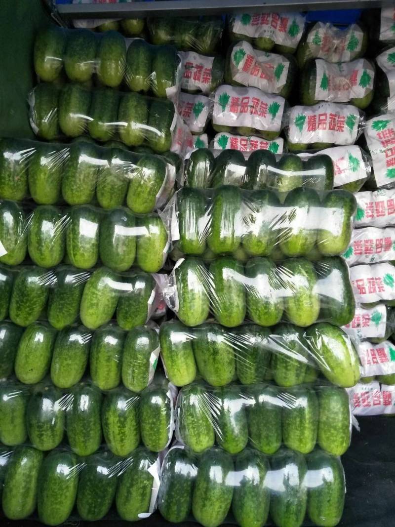 冬瓜