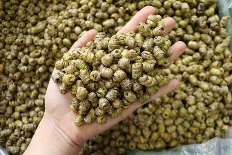 AAA特级水草石斛颜色好肉质结实市场上好的货