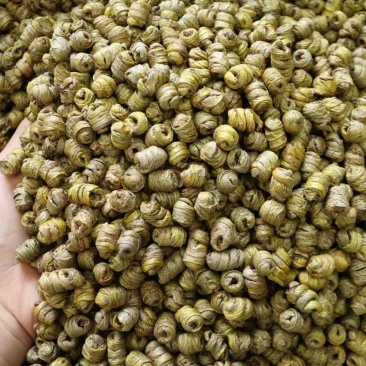 AAA特级水草石斛颜色好肉质结实市场上好的货