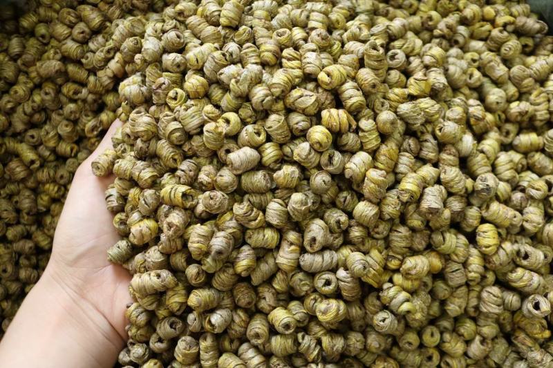 AAA特级水草石斛颜色好肉质结实市场上好的货