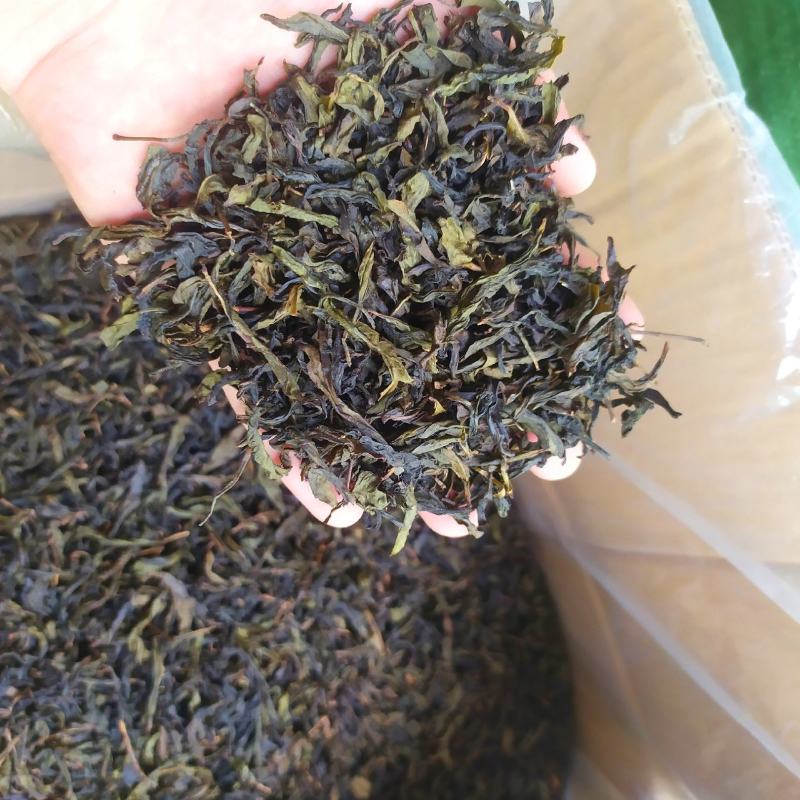 高山茶叶惠来土山茶潮汕乌龙茶大坪土山茶炭焙黄旦茶叶浓香茶