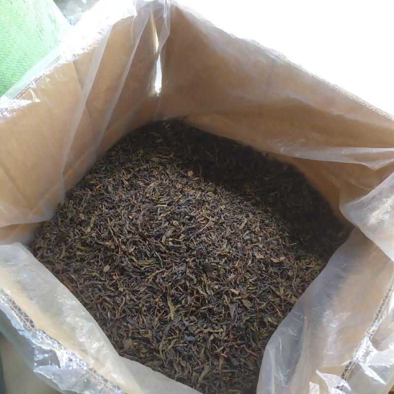 高山茶叶惠来土山茶潮汕乌龙茶大坪土山茶炭焙黄旦茶叶浓香茶