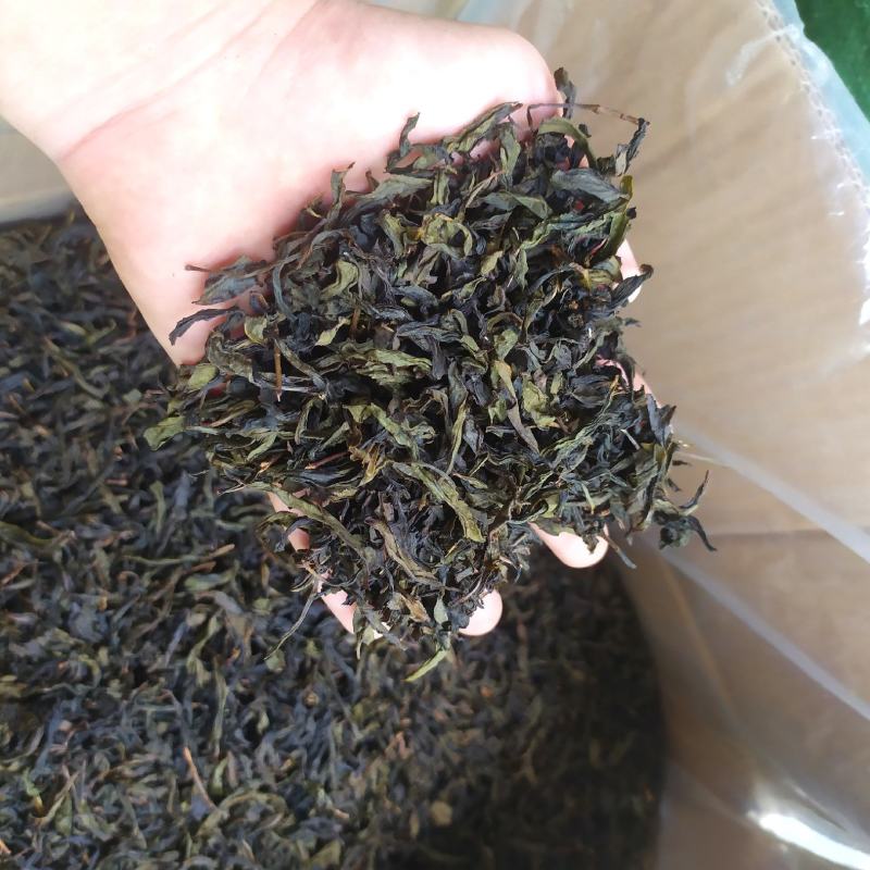 高山茶叶惠来土山茶潮汕乌龙茶大坪土山茶炭焙黄旦茶叶浓香茶