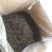 高山茶叶惠来土山茶潮汕乌龙茶大坪土山茶炭焙黄旦茶叶浓香茶
