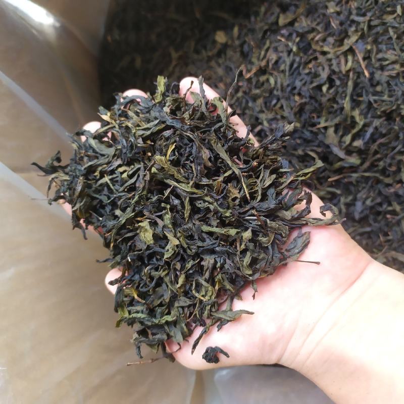 高山茶叶惠来土山茶潮汕乌龙茶大坪土山茶炭焙黄旦茶叶浓香茶