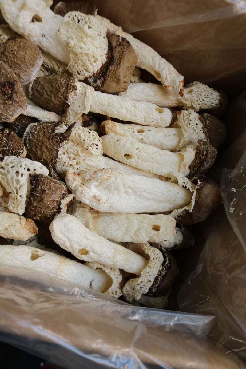 黑帽贵州野生竹荪新货回来统货有大有小这款性价比