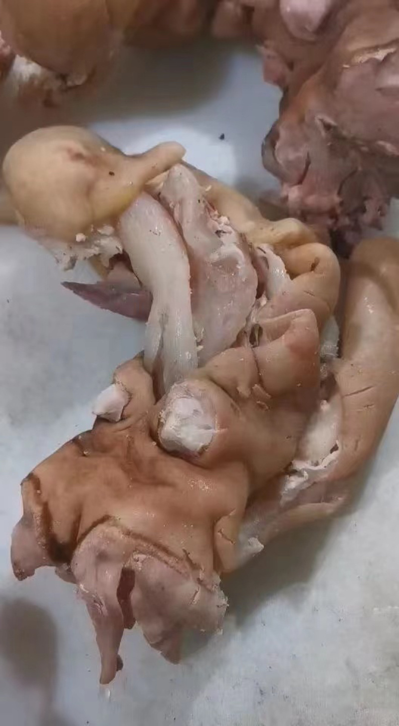 火烧去骨牛蹄筋，一手货源每天新鲜加工，无任何添加剂