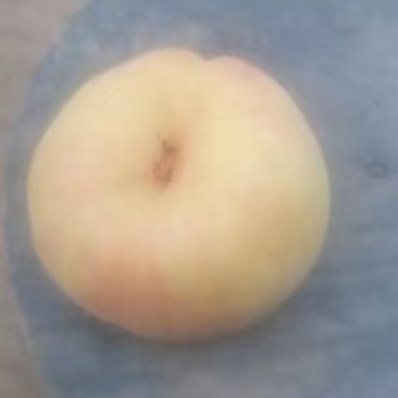风味天后油潘桃
