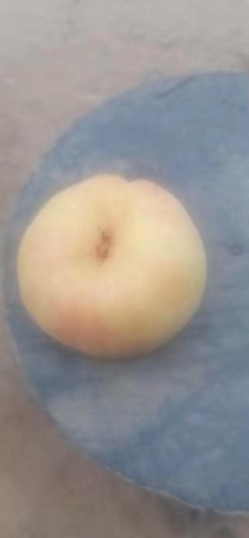 风味天后油潘桃