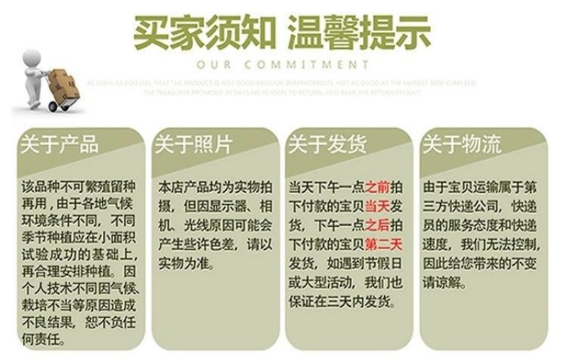 万秀青葱一本铁杆刚葱四季香葱一代种子厂家直销