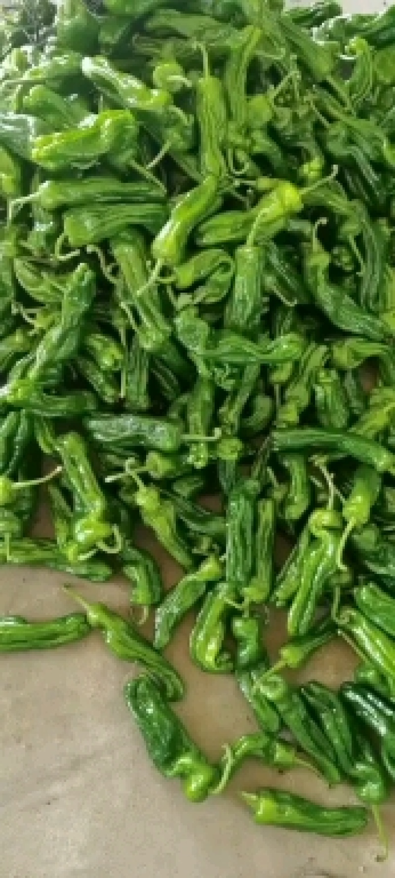 山东省兰陵县，精品芜湖泡椒大量上，色泽鲜艳，个头均匀。