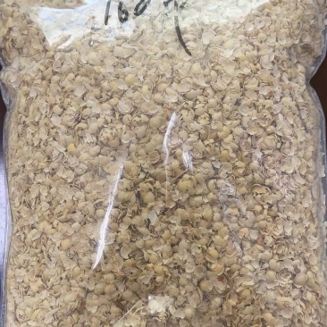 碎豆皮
