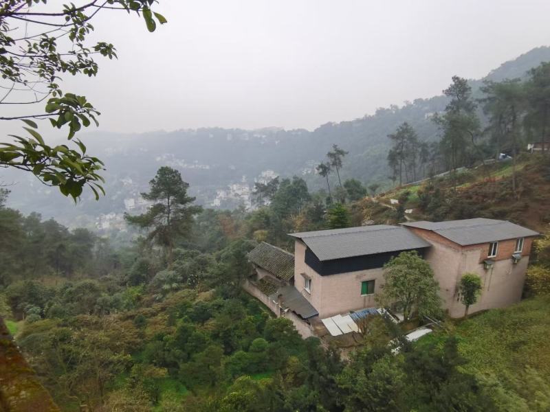 重庆南山2亩农庄出租