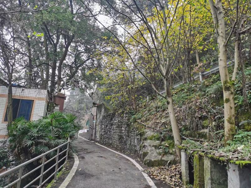 重庆南山2亩农庄出租