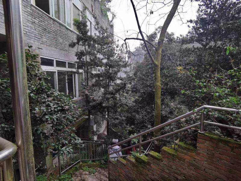 重庆南山2亩农庄出租