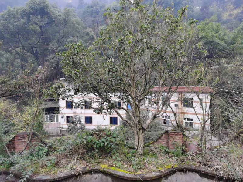 重庆南山2亩农庄出租