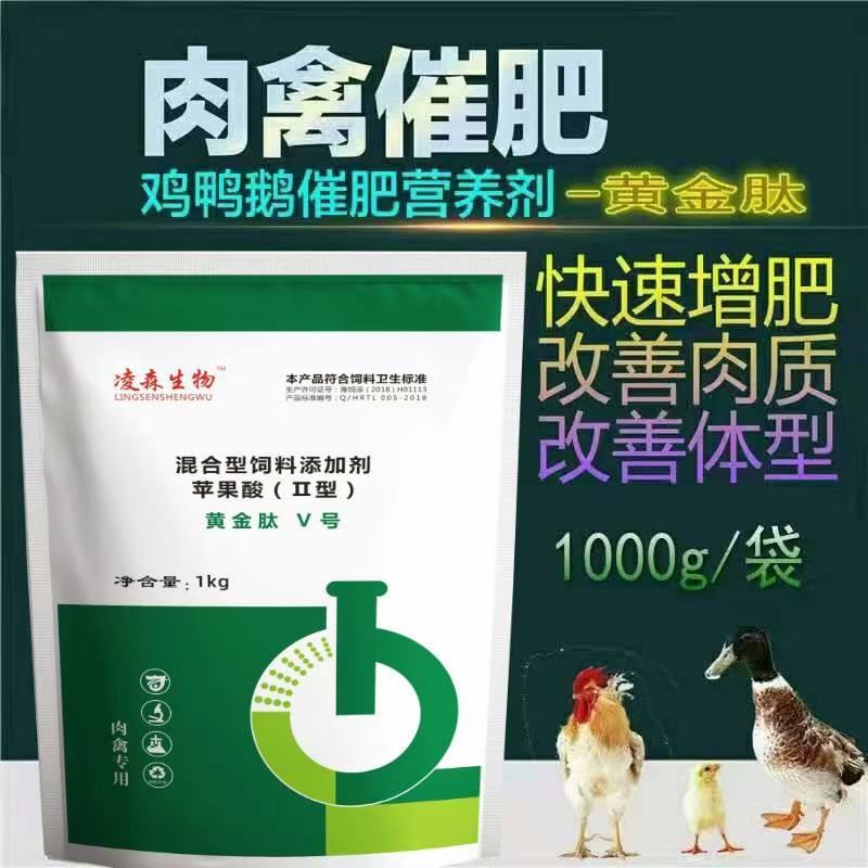 鸡鸭鹅出栏前使用肉禽专用黄金肽，厂家直销，量大优惠