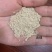 各规格统糠除尘糠筛糠三七糠油糠米厂直供