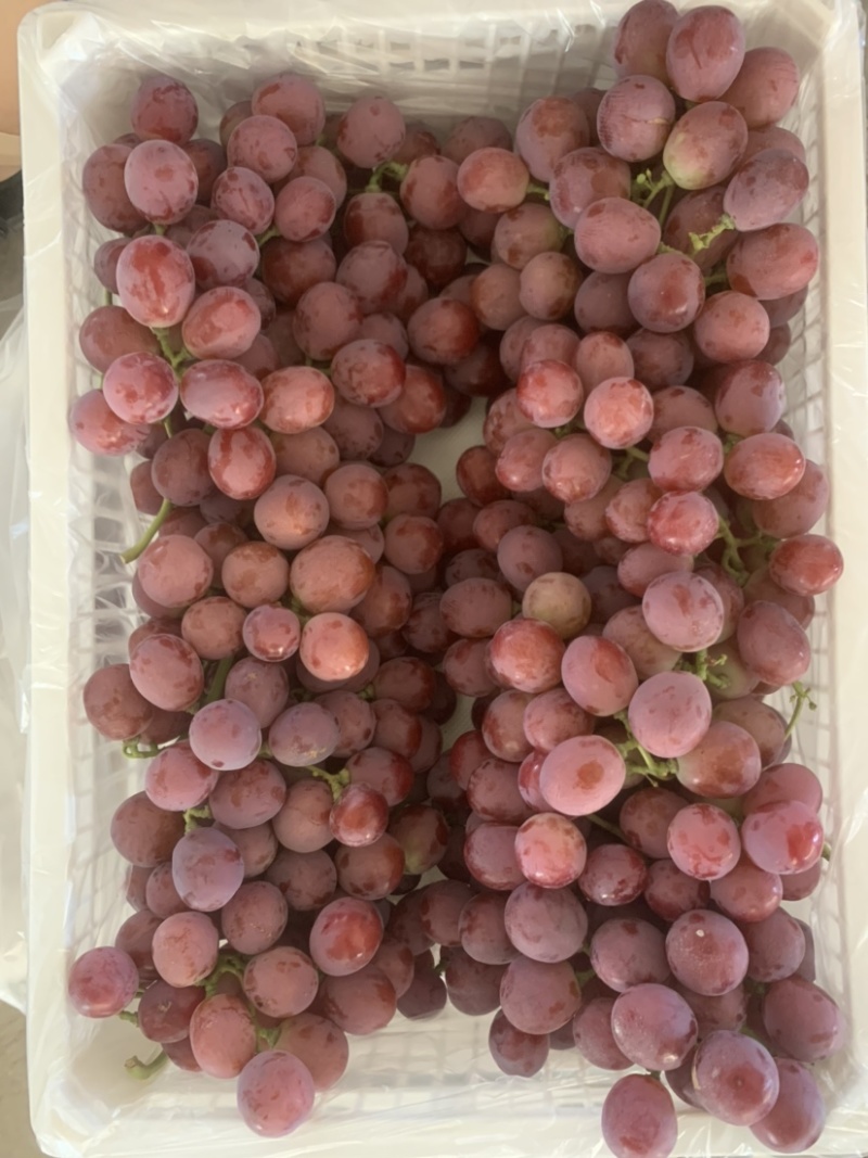 精品库存红提，甜脆硬，个头大