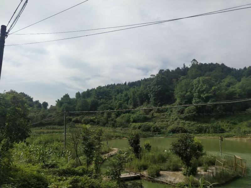 重庆璧山大学城27亩农庄出租