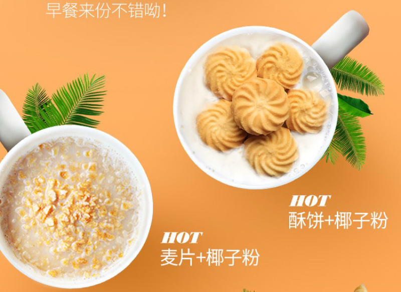 海南特产南国醇香椰子粉450g罐装休闲网红食品