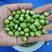 干豌豆可以泡发两斤青碗豆，跑江湖地摊零售10元一碗模式