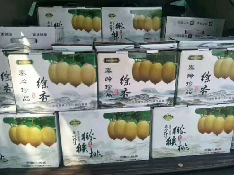 徐香猕猴桃