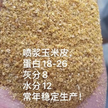 喷浆玉米皮，现货，大厂家合同价。