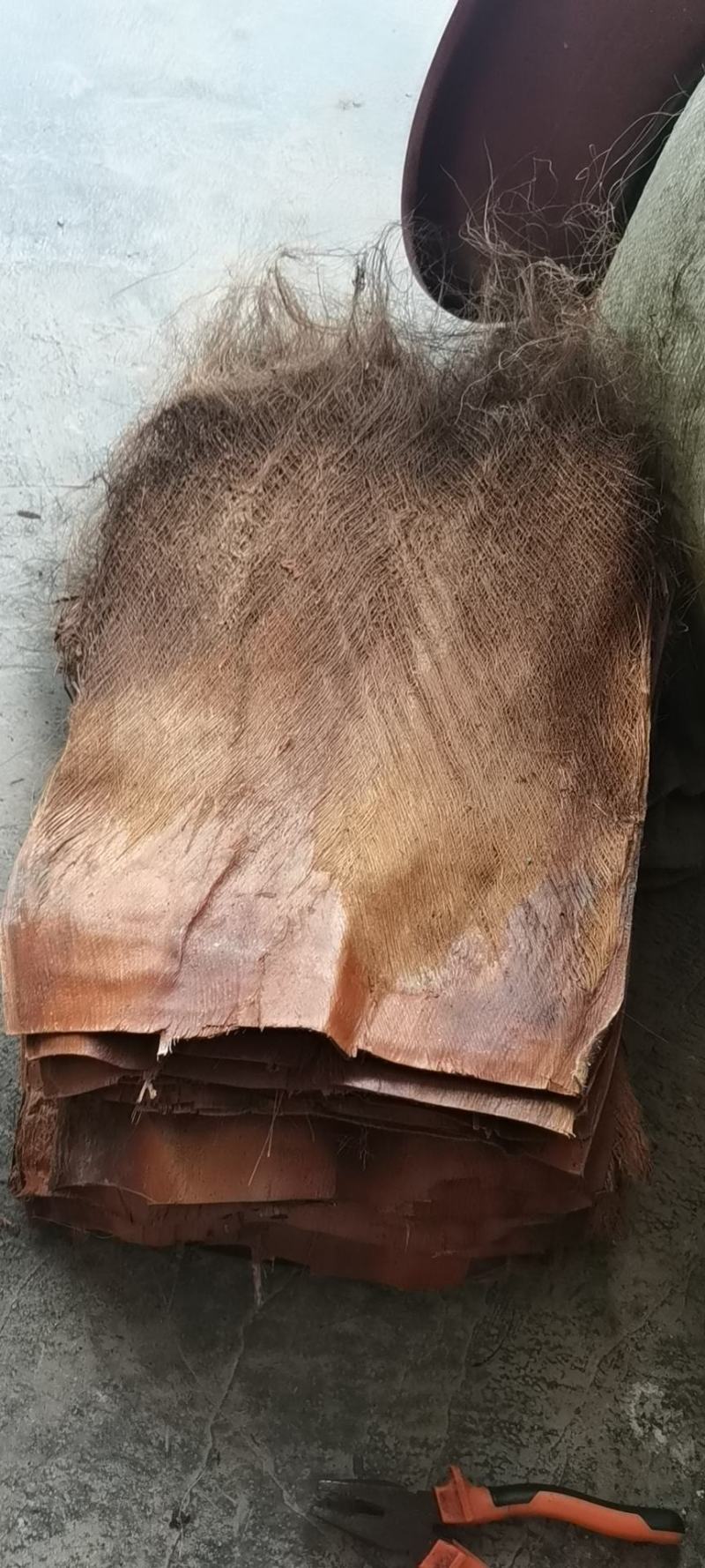 棕毛棕榈皮棕片棕榈树棕扫把专用材料产地一手货源！