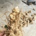 竹节参大量上市自产自销欢迎各位老板前来选购，实地考察