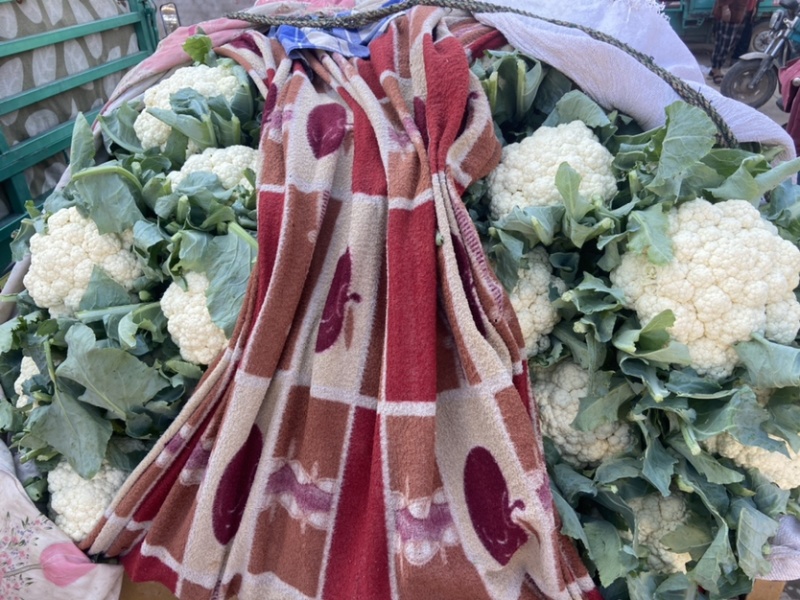 【推荐】精品菜花河北产地货源充足对接全国可视频看货