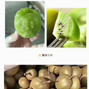 浦江县红心猕猴桃