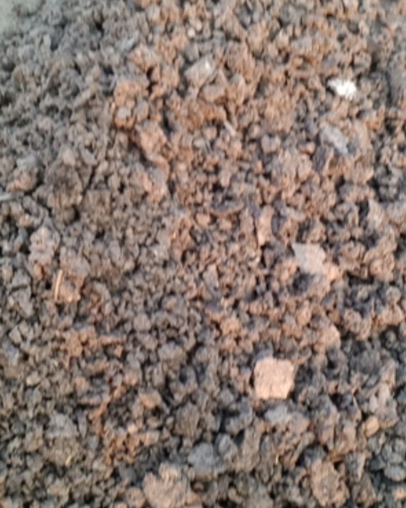 干湿牛粪，发酵牛粪