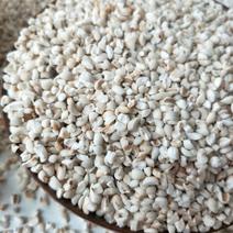 批发贵州碎薏米仁磨粉用薏米薏仁米五谷杂粮薏仁瓣25kg