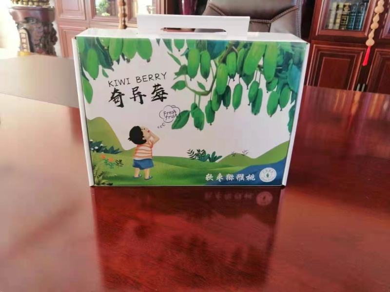 软枣猕猴桃奇异莓丹东产地批发一件代发商超电商社区团购
