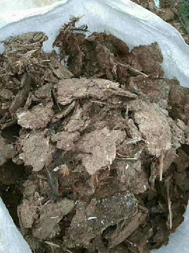 纯鸡粪