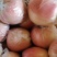 纸加膜中秋王，个头超大，果面干净，果型高端。