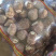 优质芋头8520芋头大量上市一手货源，保证质量全国发