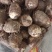 优质芋头8520芋头大量上市一手货源，保证质量全国发