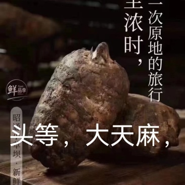 昭通彝良小草坝。干货，各种规格都有，需要的放心购买。