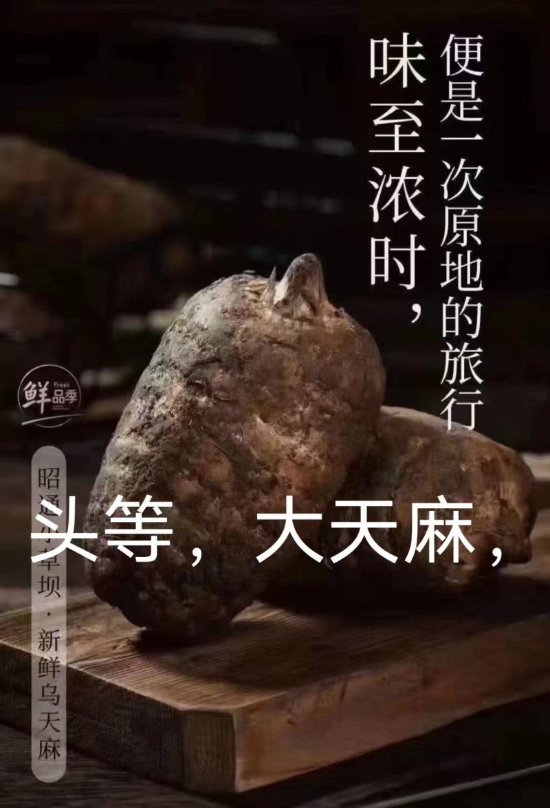 昭通彝良小草坝。干货，各种规格都有，需要的放心购买。