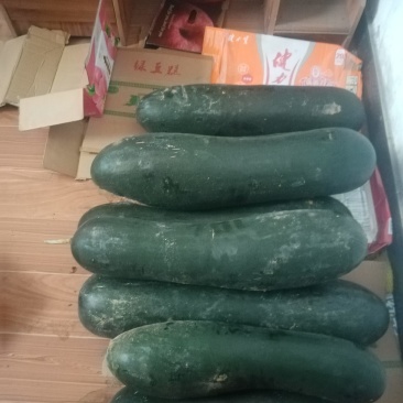 黑皮冬瓜，大量上市，货源充足，产地直供。