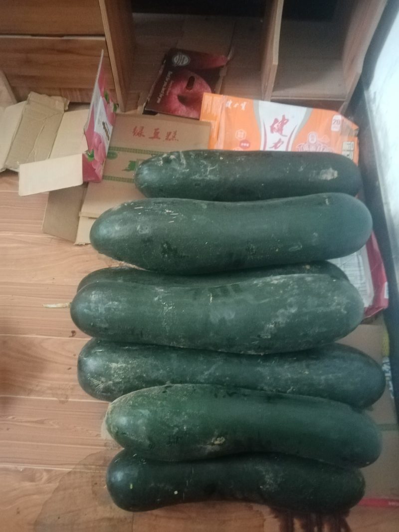 黑皮冬瓜，大量上市，货源充足，产地直供。