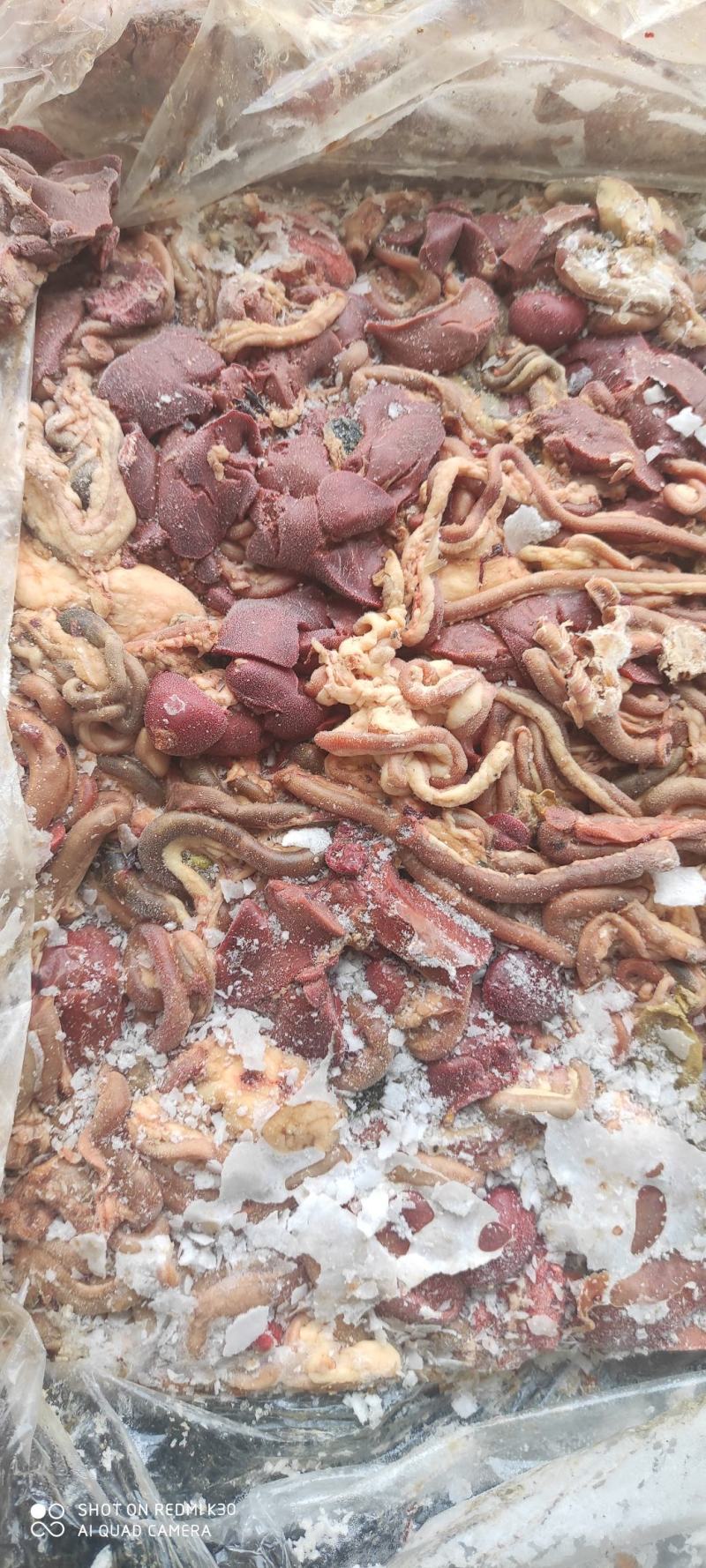 817混肠小肉鸡混肠，大厂货质量好，纯干无水，常年供货