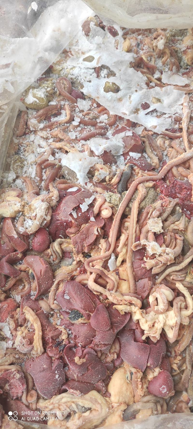 817混肠小肉鸡混肠，大厂货质量好，纯干无水，常年供货