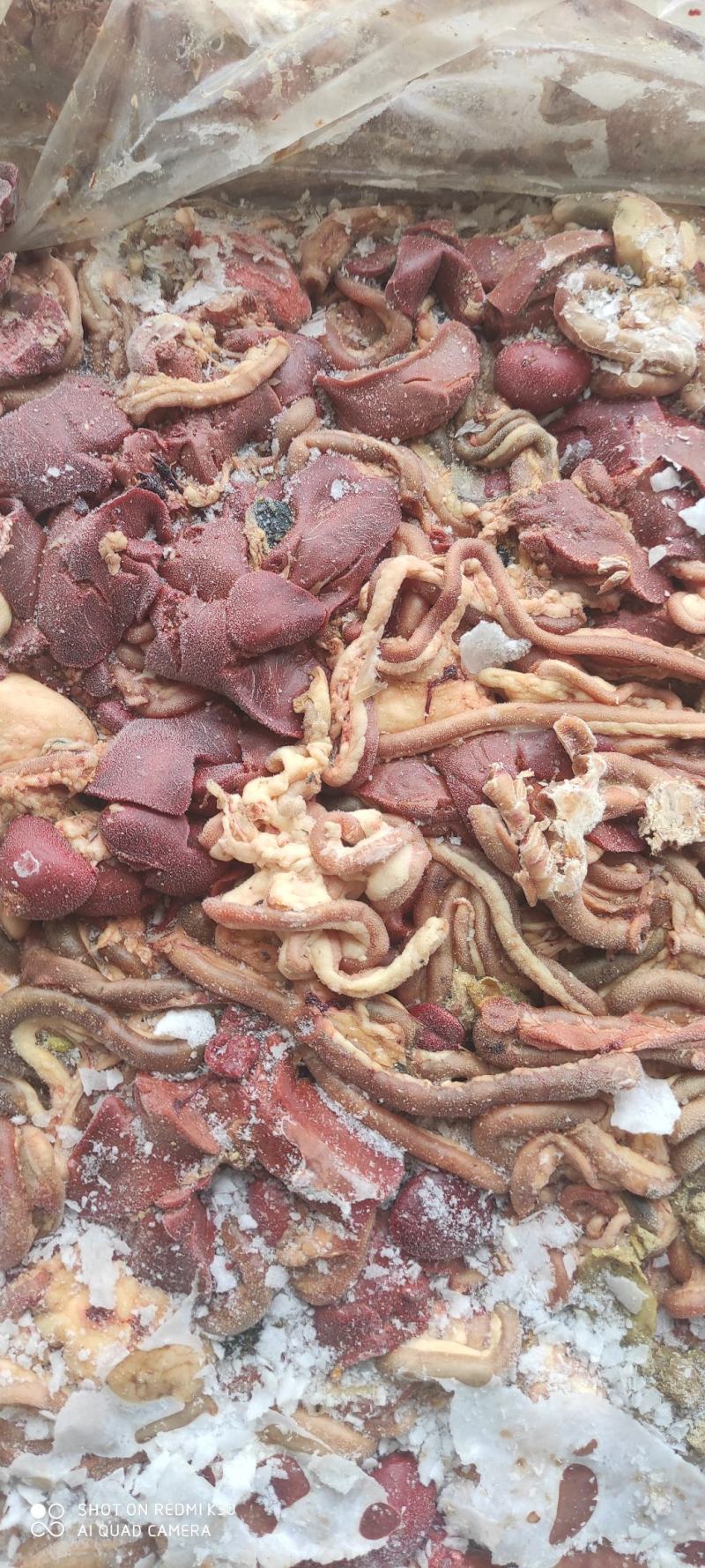 817混肠小肉鸡混肠，大厂货质量好，纯干无水，常年供货
