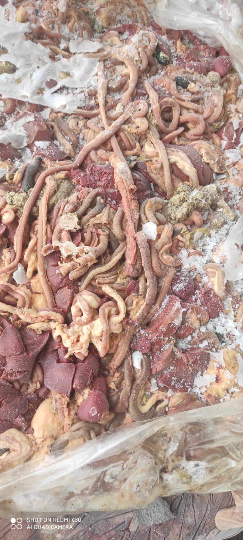 817混肠小肉鸡混肠，大厂货质量好，纯干无水，常年供货